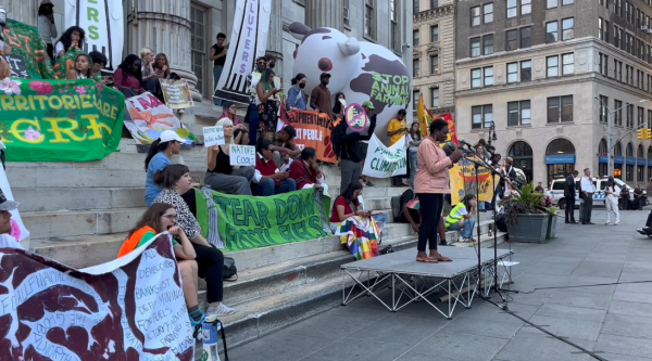 SHS Student Speaks at NYC Climate Rally